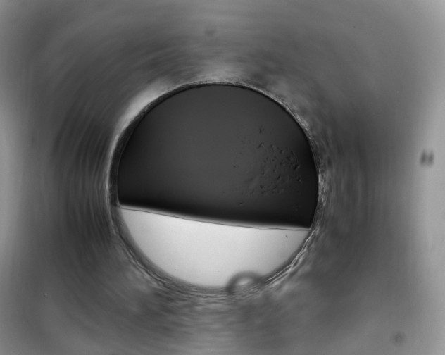 X0000102340196200808010921