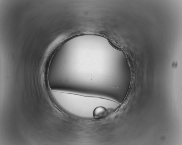 X0000102340197200808010921