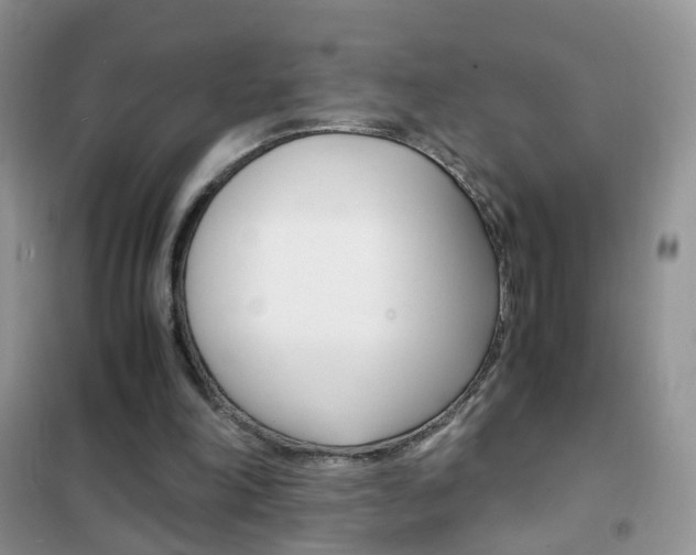 X0000102340198200808010921
