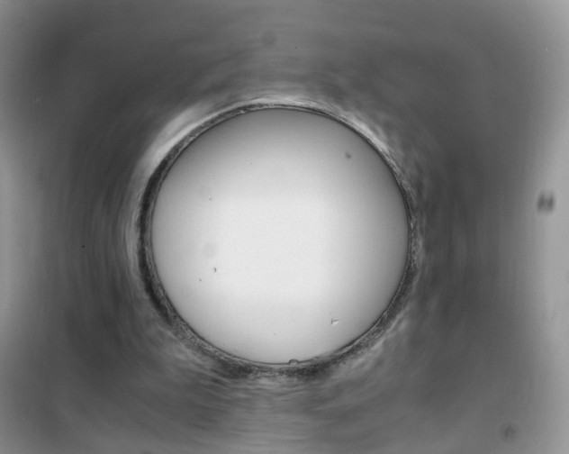 X0000102340199200808010921