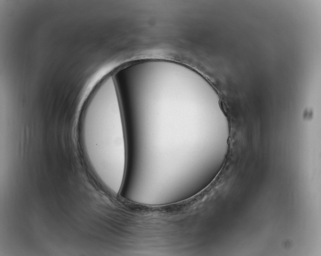 X0000102340200200808010921