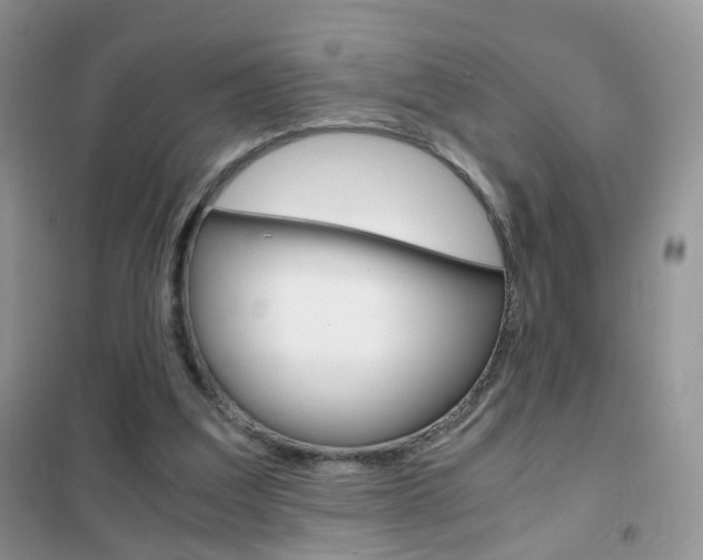 X0000102340203200808010921