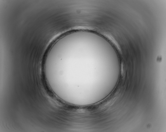 X0000102340204200808010921