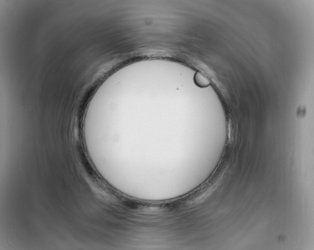 X0000102340205200808010921