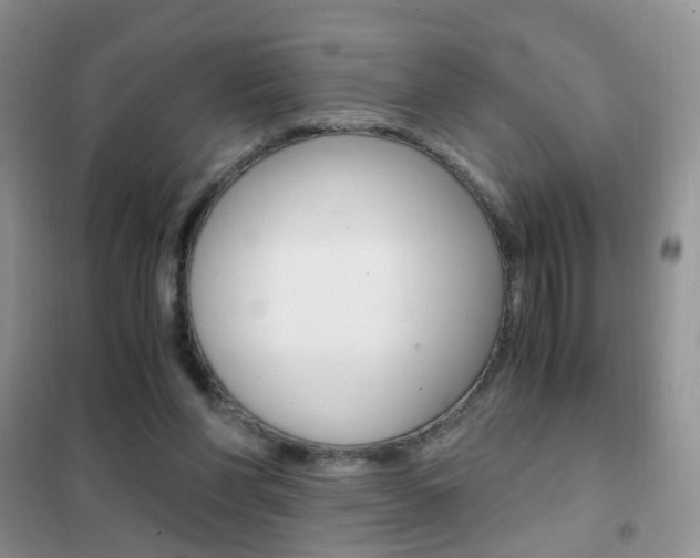 X0000102340206200808010921
