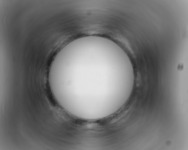X0000102340210200808010920