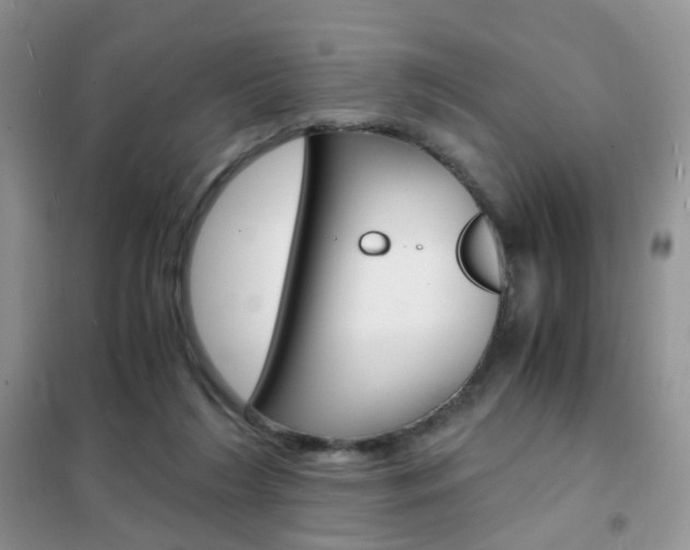 X0000102340212200808010920
