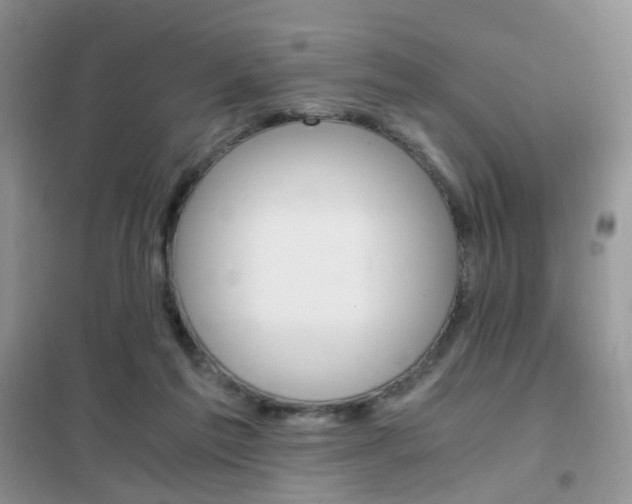 X0000102340213200808010920