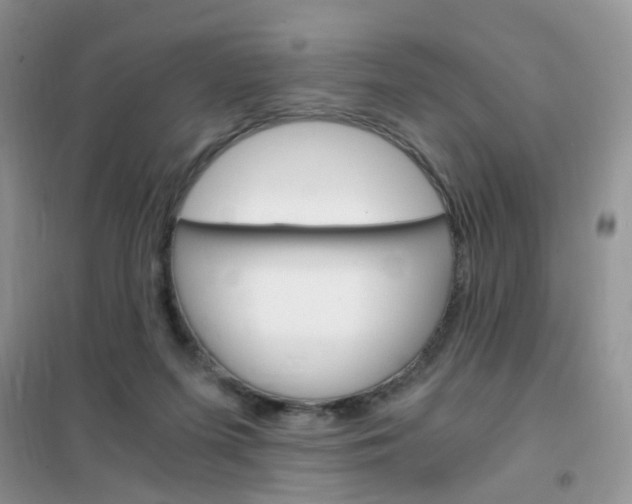 X0000102340215200808010920