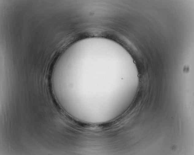 X0000102340217200808010920