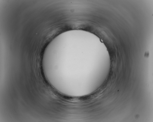 X0000102340219200808010920