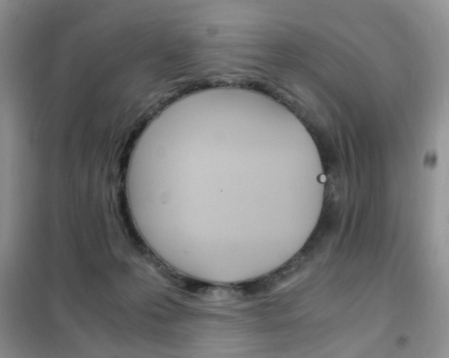 X0000102340223200808010920