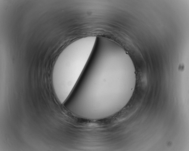 X0000102340224200808010920