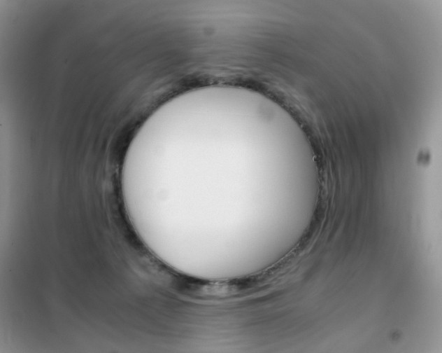 X0000102340225200808010920