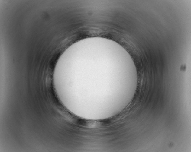 X0000102340226200808010920