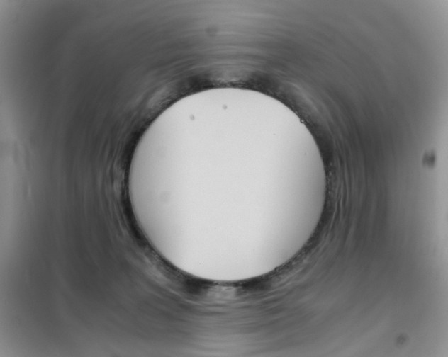 X0000102340227200808010920
