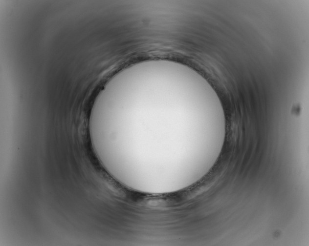 X0000102340228200808010920