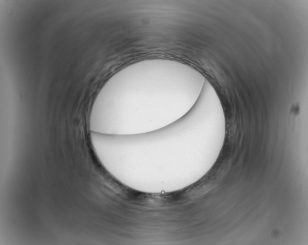 X0000102340229200808010920