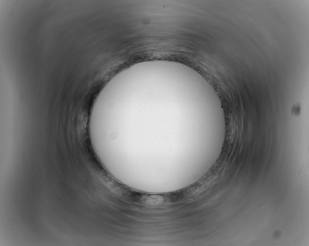 X0000102340230200808010920