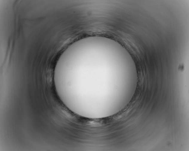 X0000102340232200808010920