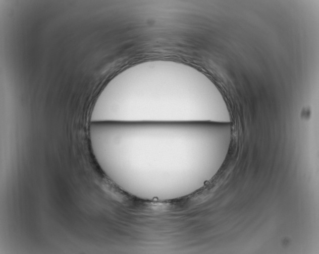 X0000102340233200808010920