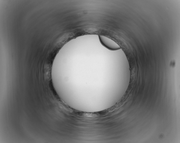 X0000102340234200808010920