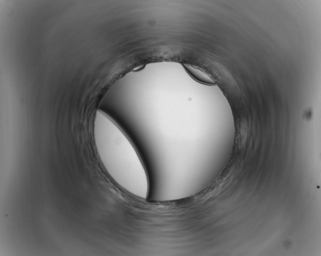 X0000102340236200808010920