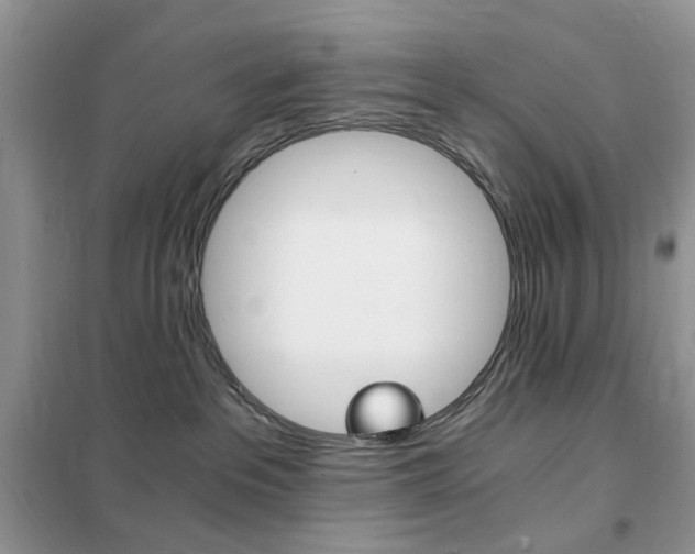 X0000102340237200808010920