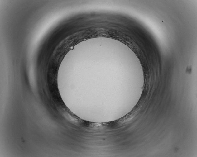 X0000102340239200808010920