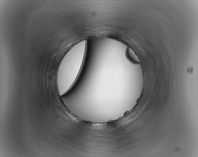 X0000102340240200808010920