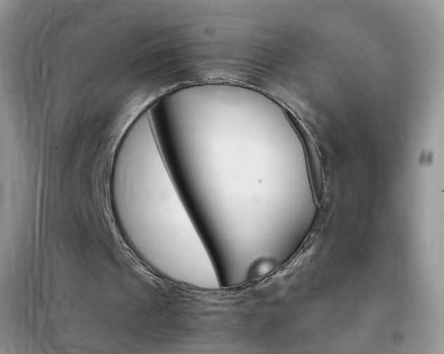 X0000102340241200808010919