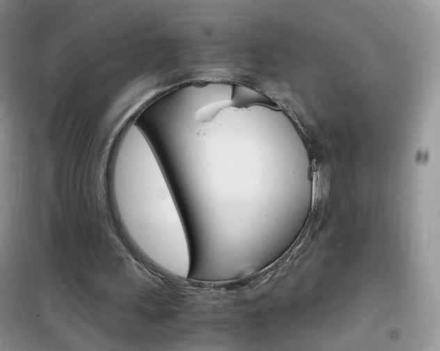 X0000102340243200808010919