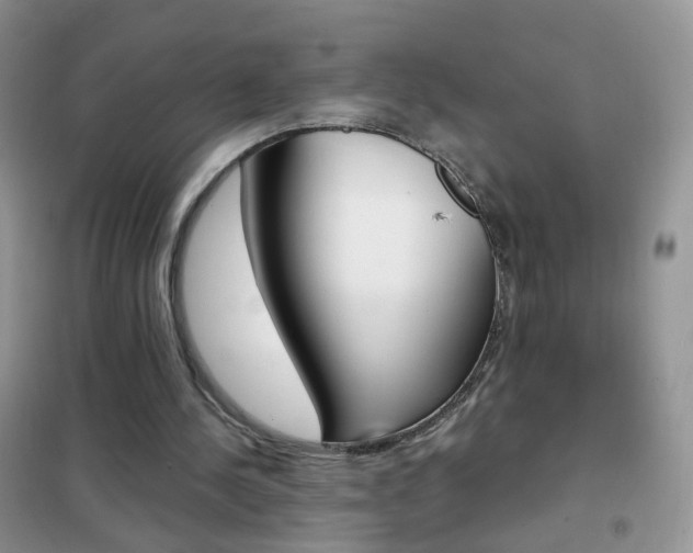 X0000102340244200808010919
