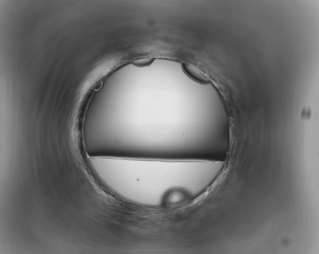 X0000102340245200808010919