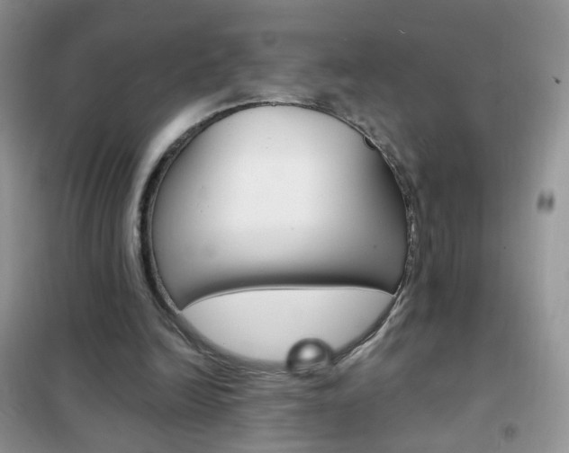 X0000102340246200808010919