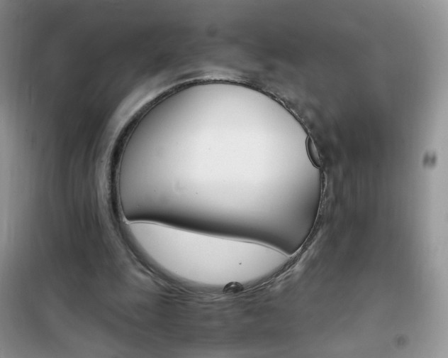 X0000102340247200808010919