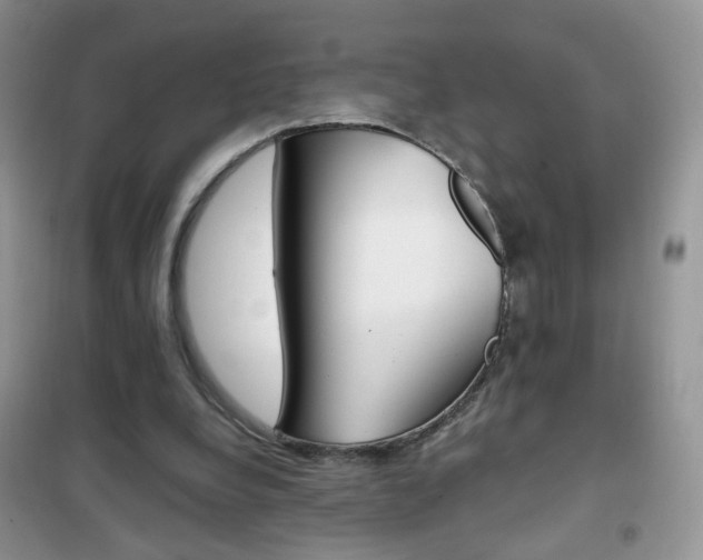 X0000102340248200808010919