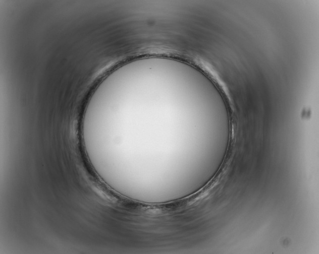 X0000102340249200808010919