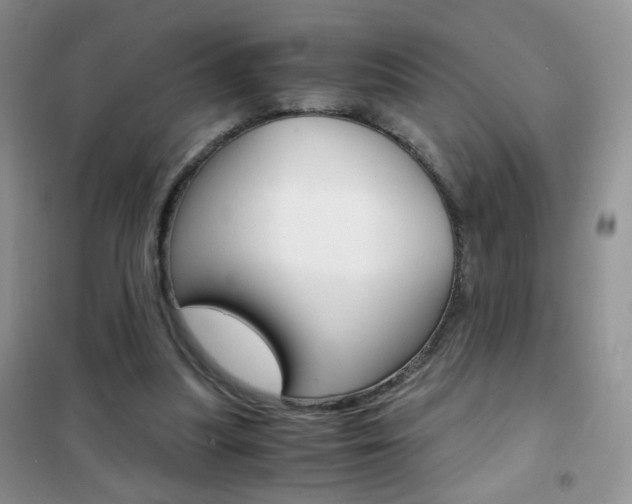 X0000102340251200808010919