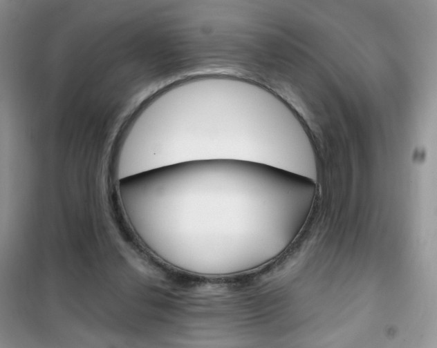 X0000102340252200808010919