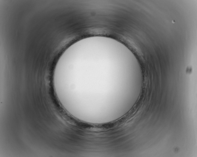 X0000102340255200808010919