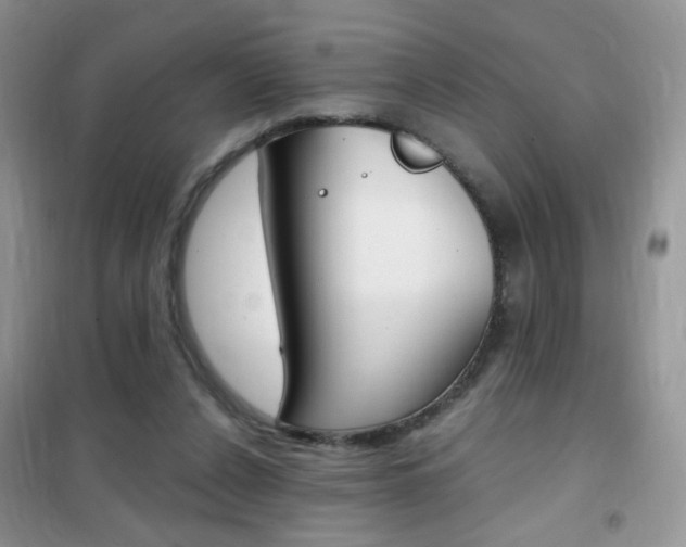 X0000102340256200808010919