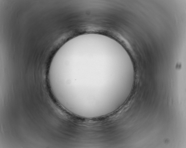 X0000102340257200808010919