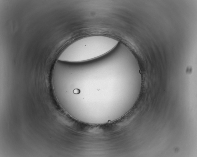 X0000102340258200808010919
