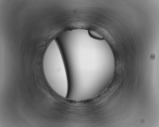 X0000102340259200808010919