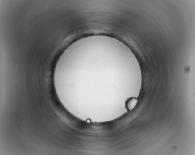 X0000102340260200808010919