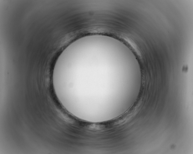 X0000102340261200808010919