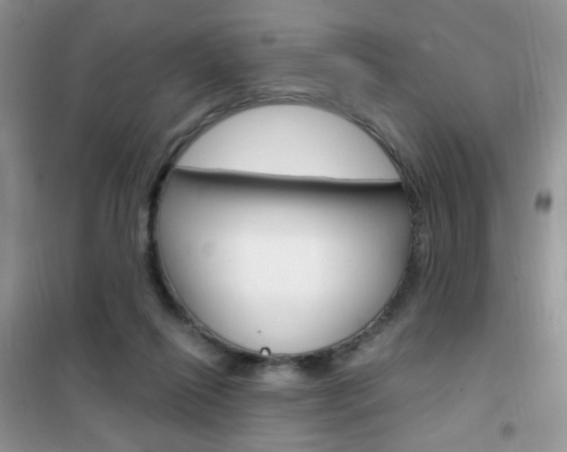 X0000102340262200808010920