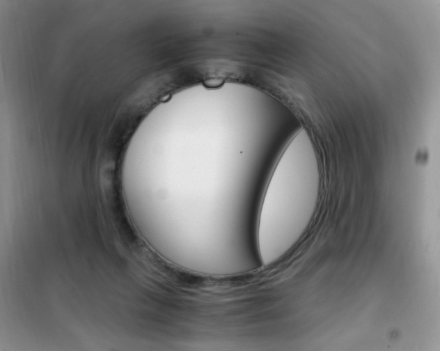 X0000102340263200808010920