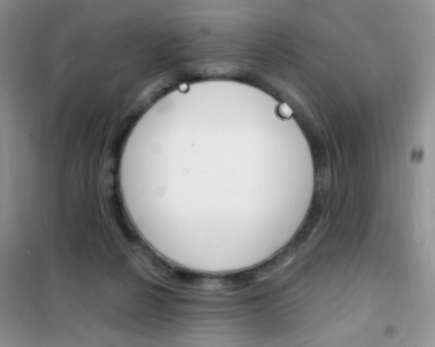 X0000102340264200808010920